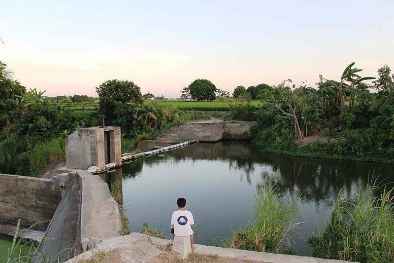 File:Carmona River Dam.JPG