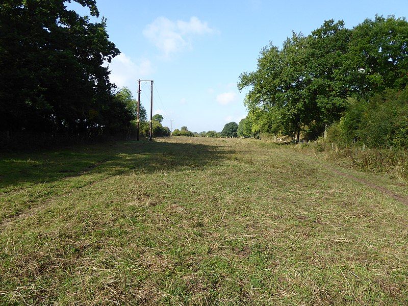 File:Cribb's Meadow 5.jpg