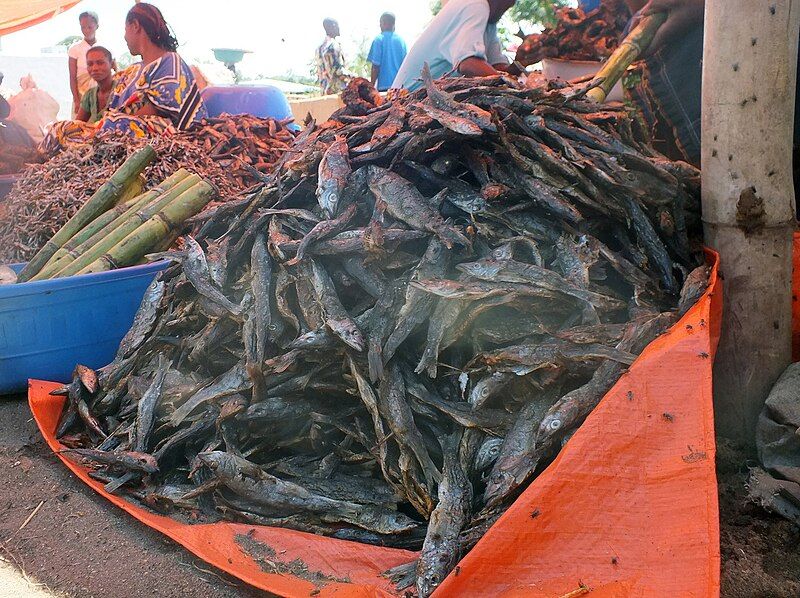 File:Fish and sugarcanes.jpg