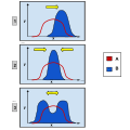 These charts depict the different types of genetic selection. On each graph, the x-axis variable is the type of phenotypic trait and the y-axis variable is the amount of organisms. Group A is the original population and Group B is the population after selection. Graph 1 shows directional selection, in which a single extreme phenotype is favored. Graph 2 depicts stabilizing selection, where the intermediate phenotype is favored over the extreme traits. Graph 3 shows disruptive selection, in which the extreme phenotypes are favored over the intermediate.