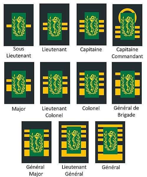 File:Grades de pharmaciens.JPG