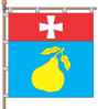 Flag of Hrushvytsia Persha