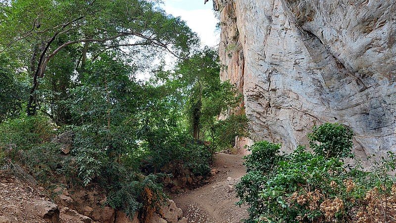 File:Gua Tambun Path.jpg