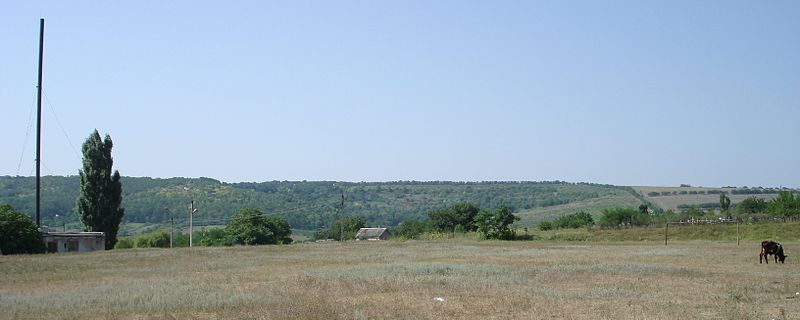 File:Landscape near Gyska.jpg