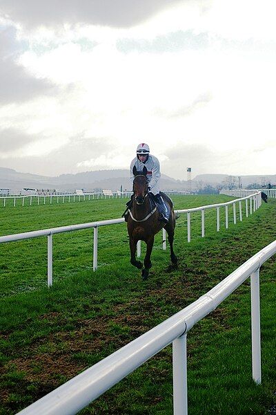 File:Leopardstown Racecourse2-04.jpg