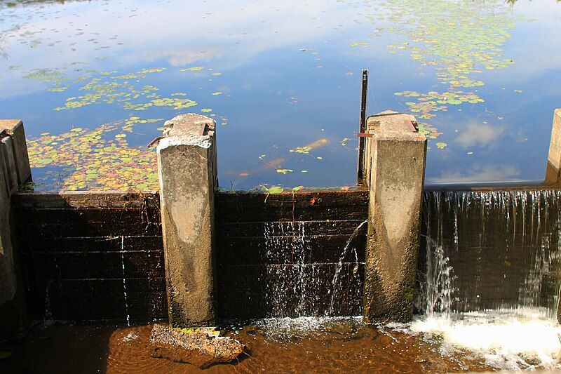 File:Lily Lake dam.JPG