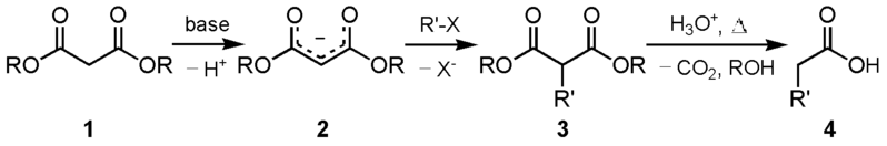 File:Malonic synthesis.png