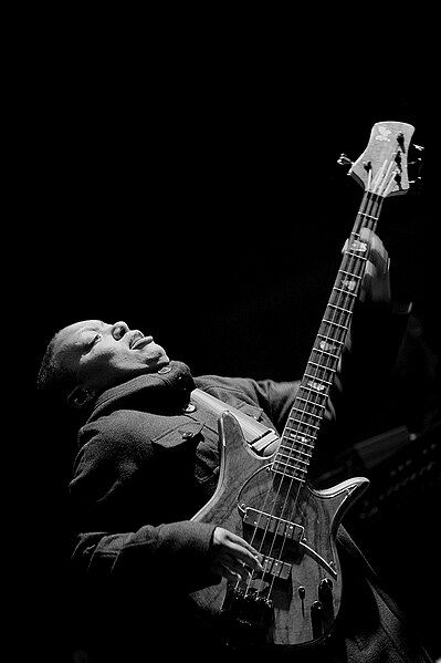 File:Meshell Ndegeocello Wikipedia.jpg