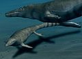 Mosasaurus, Europe