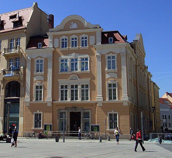 File:Naturkundemuseum Görlitz.jpg