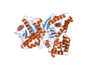 2fy5: Structures of ligand bound human choline acetyltransferase provide insight into regulation of acetylcholine synthesis