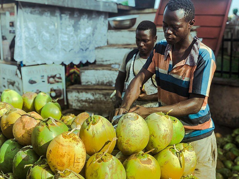 File:Sunyani coconut.jpg