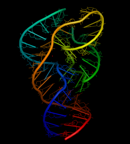 File:Twister Ribozyme Structure.png