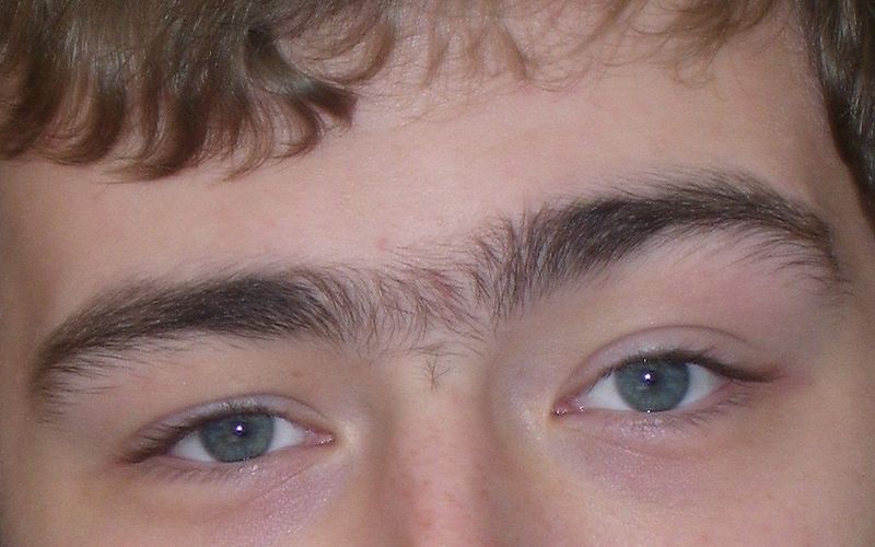 File:Unibrow.jpg