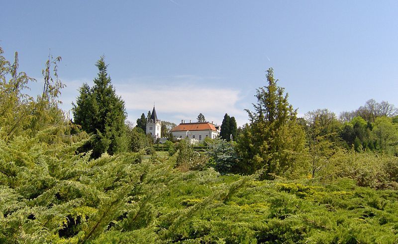 File:Arborétum-Mlyňany-11.JPG