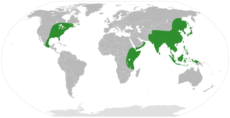 File:Arisaema distribution.svg