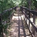 Bridge over the turbine outlets at the Childs plant