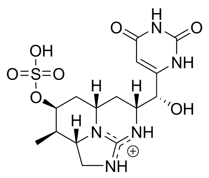 File:Cylindrospermopsin.png