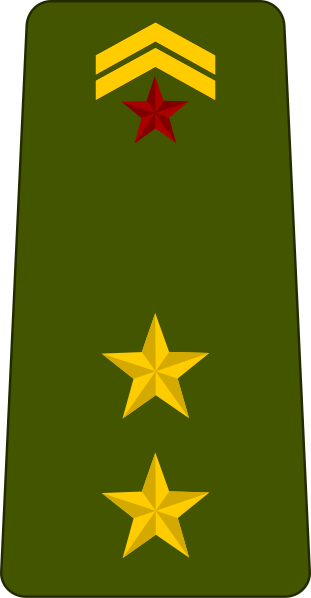 File:Djibouti-Army-OF-1b.svg