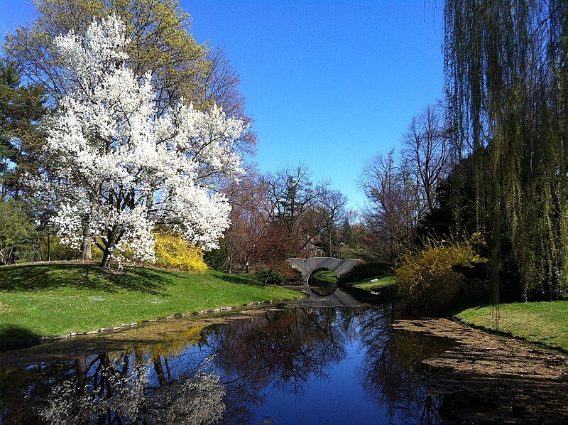 File:Dow Gardens-Spring.jpg