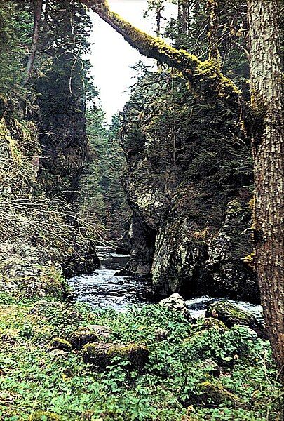 File:Haslachschlucht Rechenfelsen.jpg