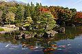 Koi in Himeji Koko-en Garden