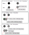 Photon Emissions