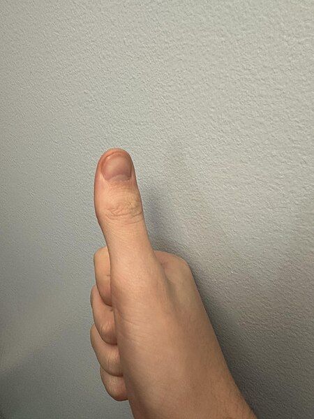 File:Kian Thumb.jpg