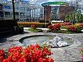 Fountains and flowers