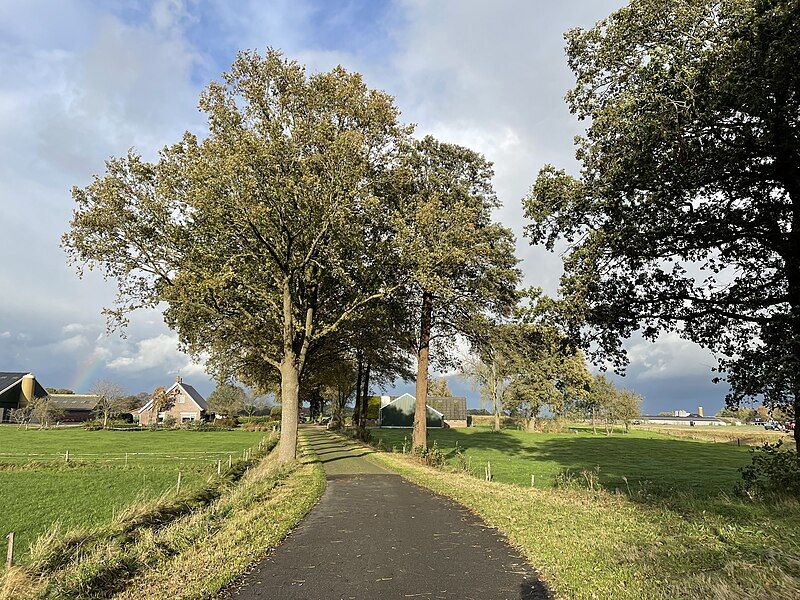 File:Netherlands, Anevelde, Pothofweg.jpg