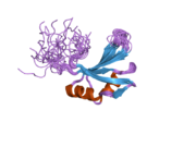 2dgw: Solution structure of the second RNA recognition motif in RNA-binding protein 19