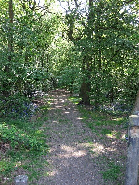 File:Palmers Rough Footpath.JPG