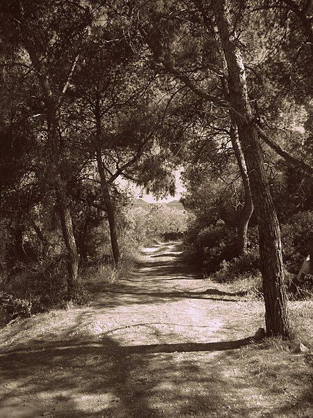 File:Path at Mareza.JPG