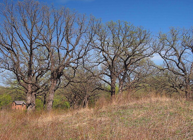 File:Shakopee mound.jpg