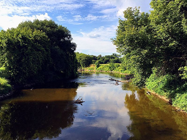 File:Shiawassee River 1.jpg