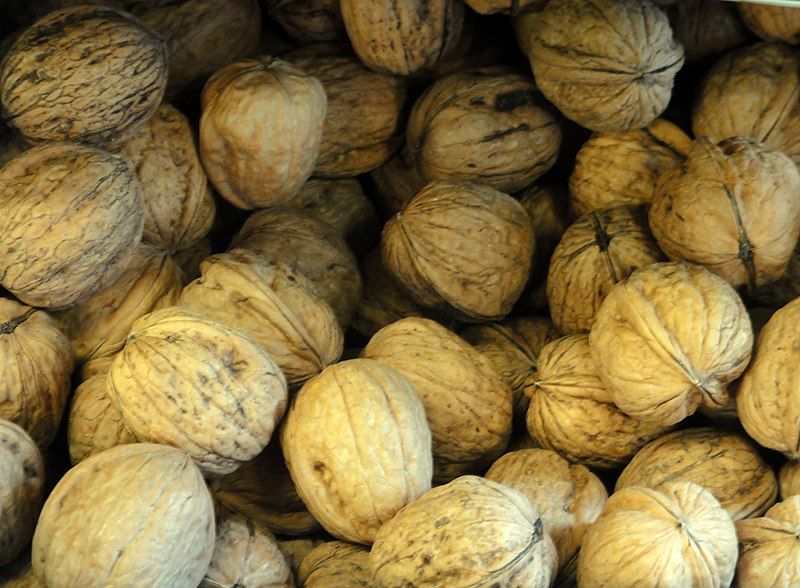 File:Walnuts.jpg