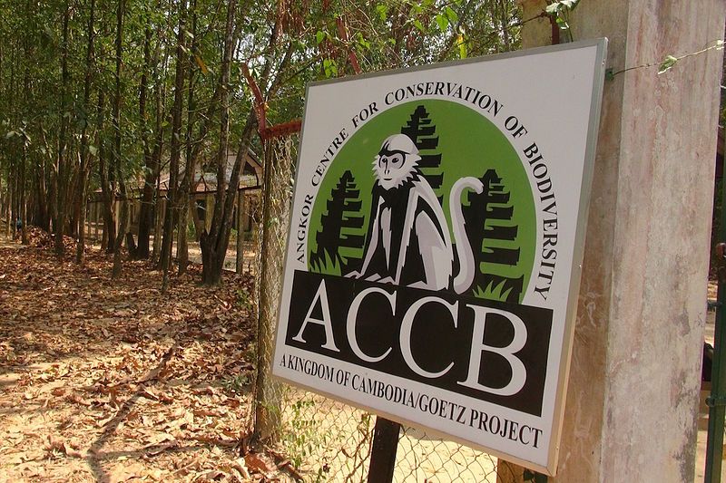 File:ACCB.jpg