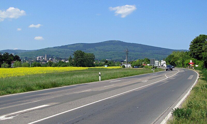 File:Altkoenig-2011-kronberg-045.jpg