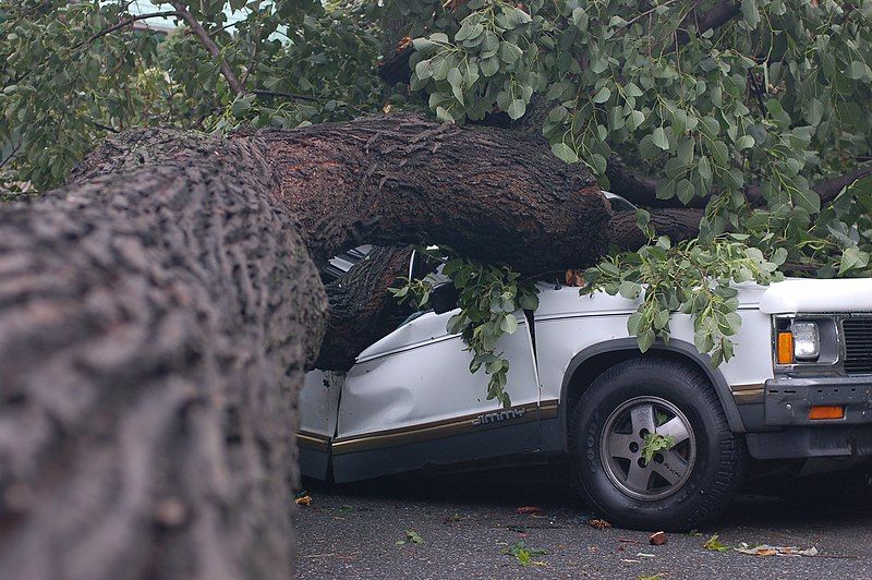 File:Brooklyntornado2007 2.jpg