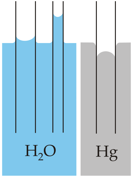 File:Capillarity.svg