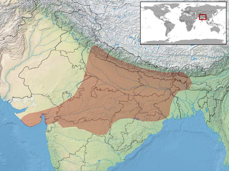 File:Elachistodon westermanni distribution.png