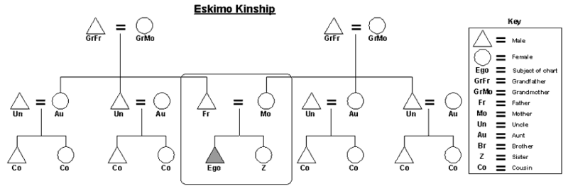 File:Eskimo-kinship-chart.png