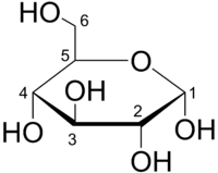 your glucose