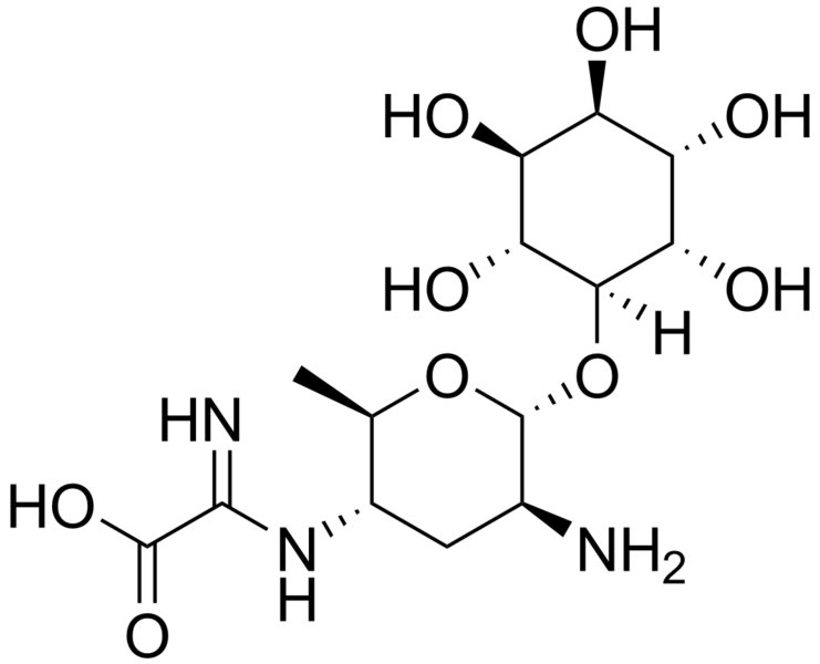 File:Kasugamycin.png