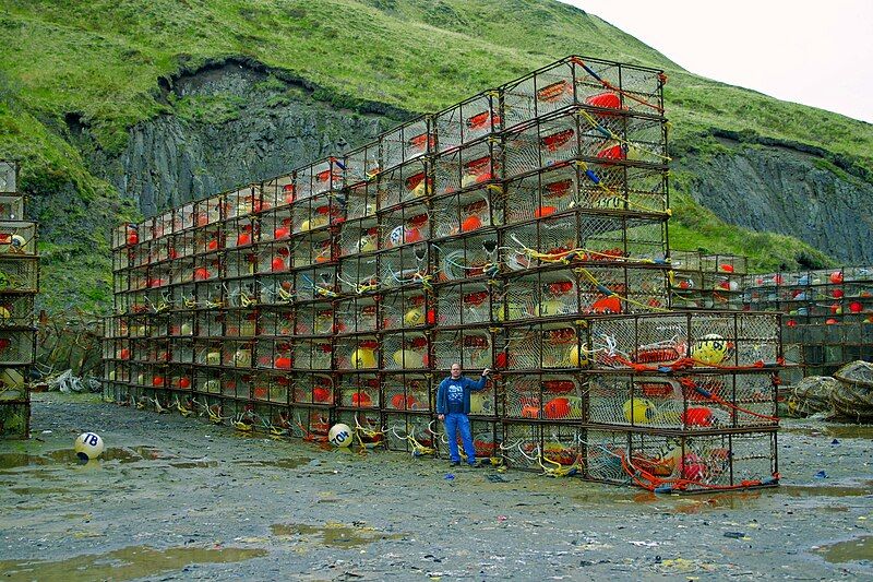 File:King crab pots.jpg