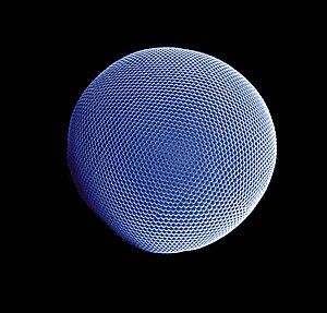 Compound eye of the Antarctic krill