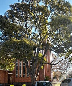 Dutch Reformed Motherchurch of Lyttelton