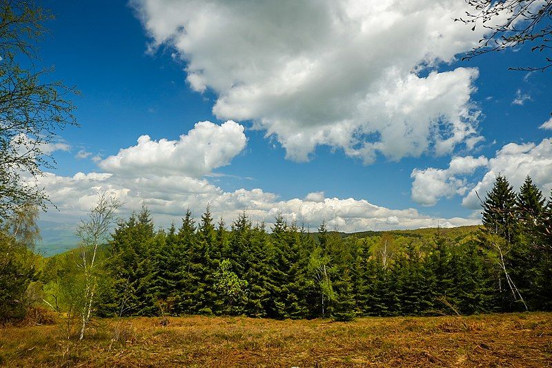 File:Planina Ostrozub 00.jpg