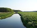 Recknitz river valley at Cammin