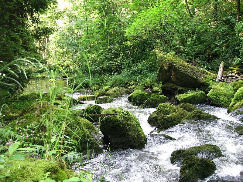 File:Rottach bei Greifenmühle.JPG